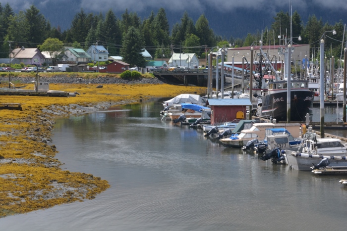homes near the harbor